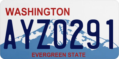 WA license plate AYZ0291