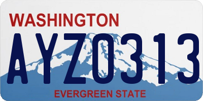 WA license plate AYZ0313