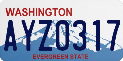 WA license plate AYZ0317