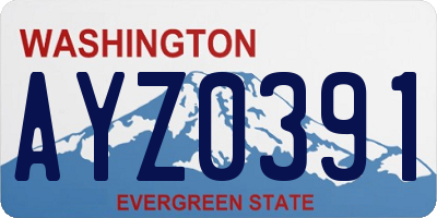 WA license plate AYZ0391