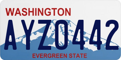 WA license plate AYZ0442