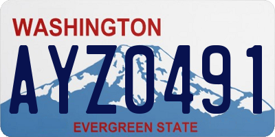 WA license plate AYZ0491