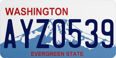 WA license plate AYZ0539