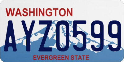 WA license plate AYZ0599