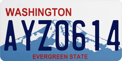 WA license plate AYZ0614