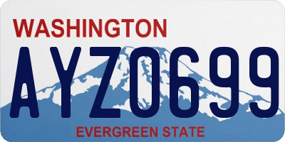 WA license plate AYZ0699