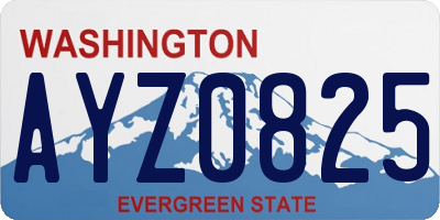 WA license plate AYZ0825