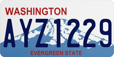 WA license plate AYZ1229