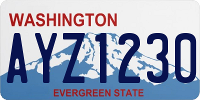 WA license plate AYZ1230