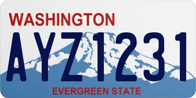 WA license plate AYZ1231