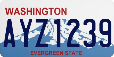 WA license plate AYZ1239