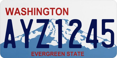 WA license plate AYZ1245