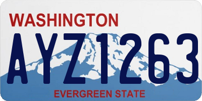 WA license plate AYZ1263