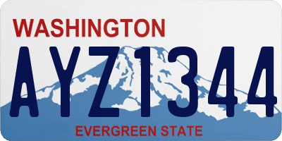 WA license plate AYZ1344