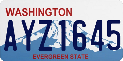 WA license plate AYZ1645