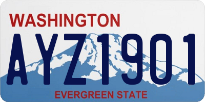 WA license plate AYZ1901