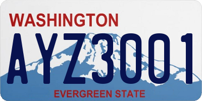 WA license plate AYZ3001