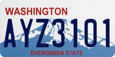 WA license plate AYZ3101