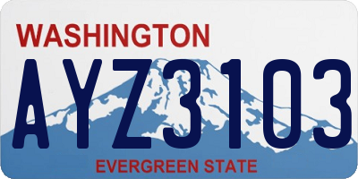 WA license plate AYZ3103