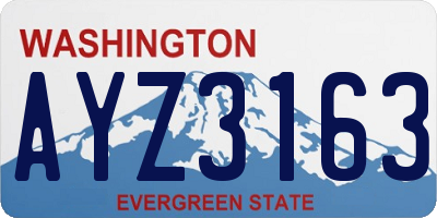 WA license plate AYZ3163