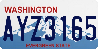 WA license plate AYZ3165