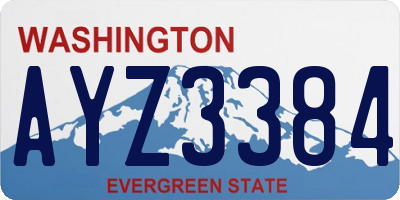 WA license plate AYZ3384