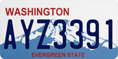 WA license plate AYZ3391