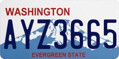 WA license plate AYZ3665