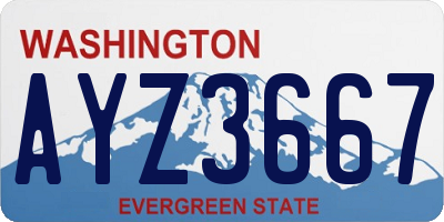 WA license plate AYZ3667