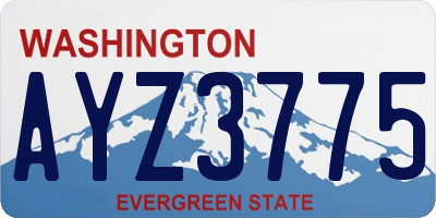 WA license plate AYZ3775