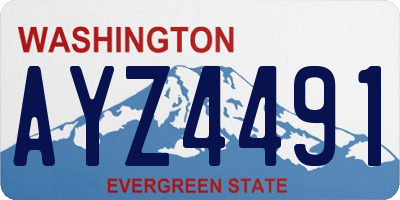 WA license plate AYZ4491