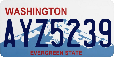 WA license plate AYZ5239