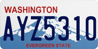 WA license plate AYZ5310