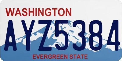 WA license plate AYZ5384