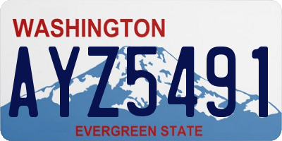 WA license plate AYZ5491