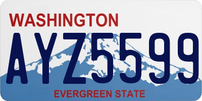 WA license plate AYZ5599