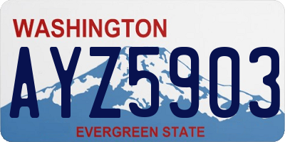 WA license plate AYZ5903