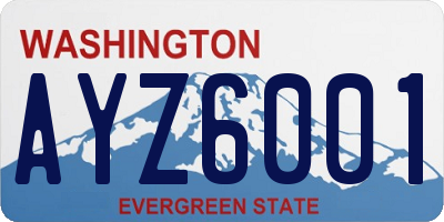 WA license plate AYZ6001