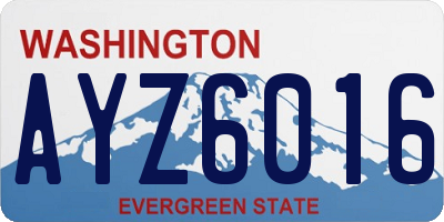 WA license plate AYZ6016