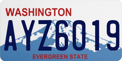 WA license plate AYZ6019