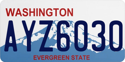 WA license plate AYZ6030