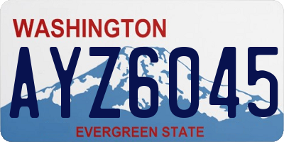 WA license plate AYZ6045