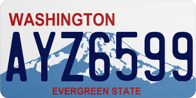 WA license plate AYZ6599