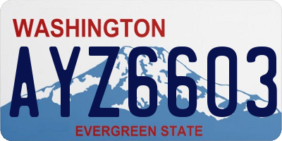 WA license plate AYZ6603