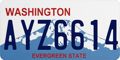 WA license plate AYZ6614