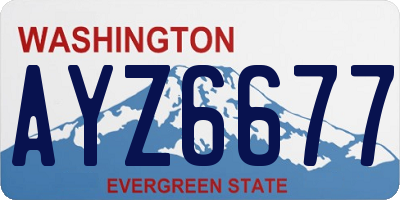 WA license plate AYZ6677