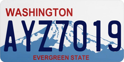 WA license plate AYZ7019