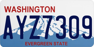 WA license plate AYZ7309