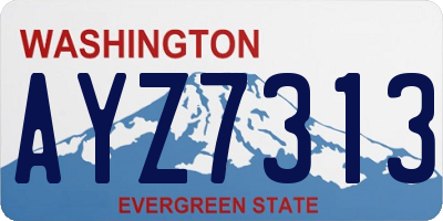 WA license plate AYZ7313