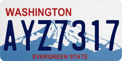 WA license plate AYZ7317